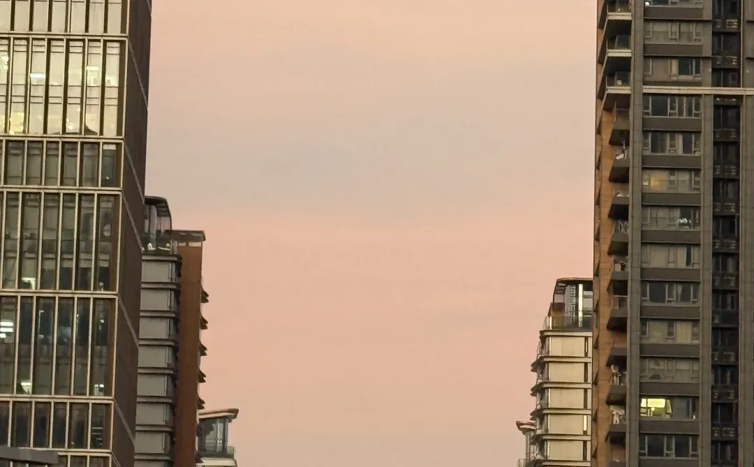 在知识付费公司发光：获客文化治愈我的职场