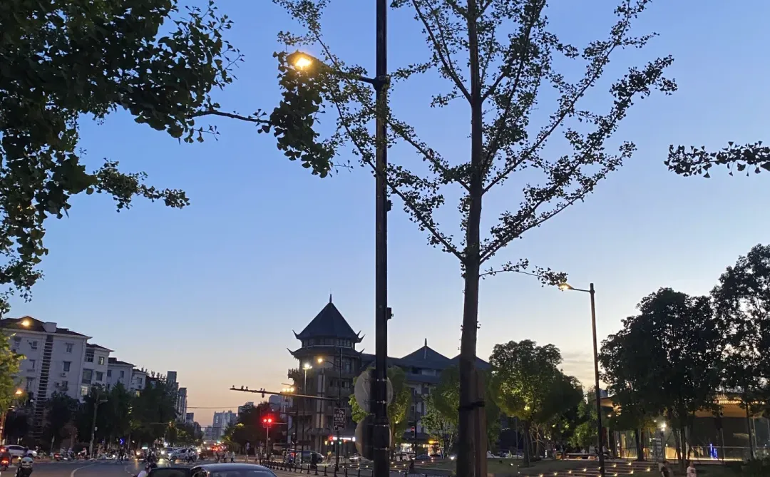 真心建议: 要创业，先把牛马圈子换掉