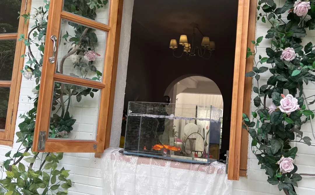 番禺独栋?一楼带花园✨速速来问?