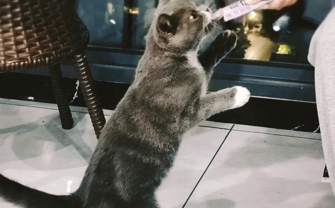 To C转型做To b销售，会遇到哪些头疼难题？