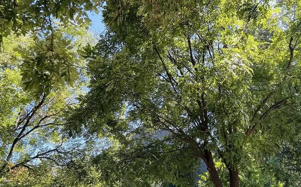 百子湾广园产业园 独栋院落 高挑空