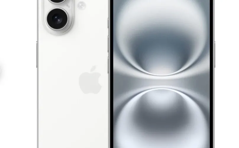 薅羊毛?企业升级优化最低每月2981日元