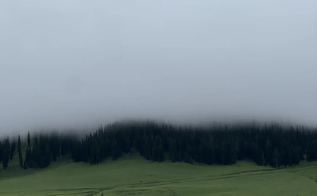 国内大宗商品贸易商分类及校招入行门槛