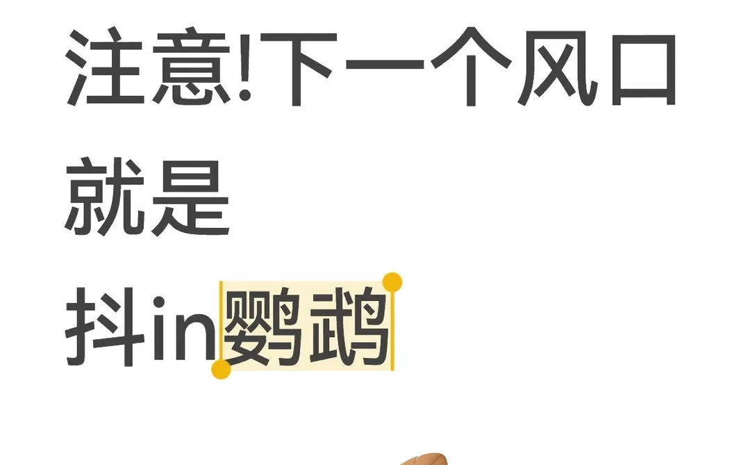 注意!下一个风口就是抖in鹦鹉