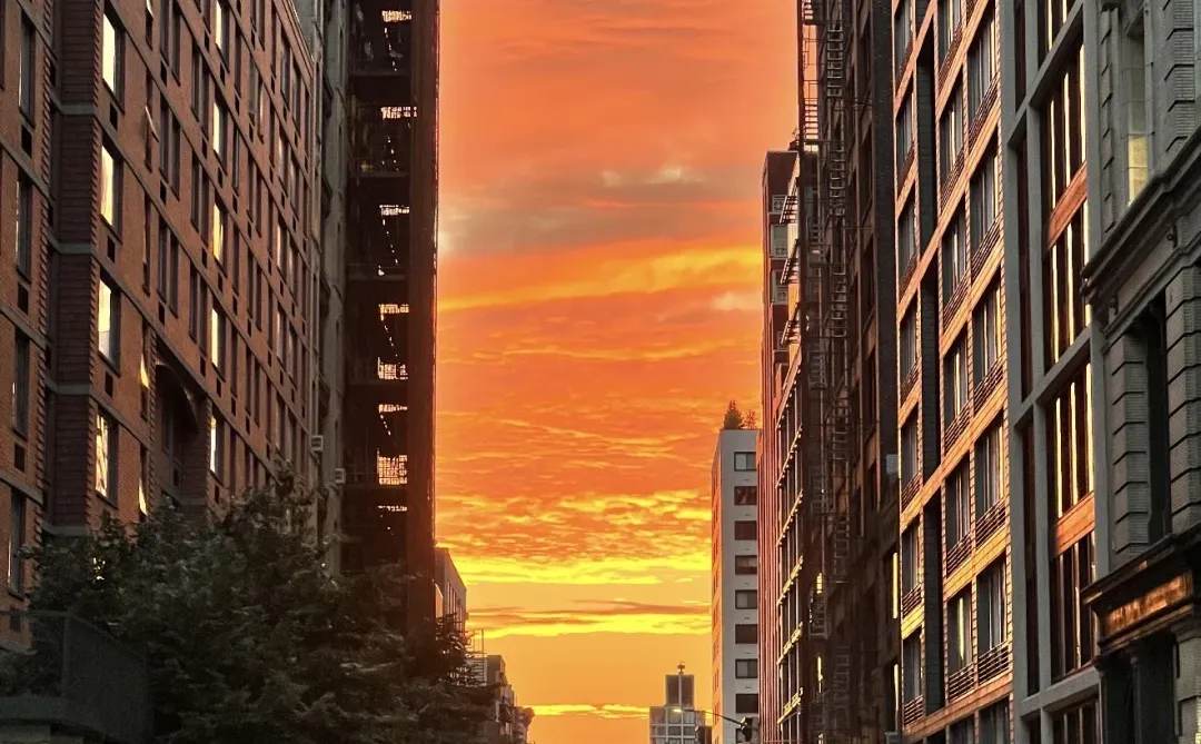 金融行业再烂再不堪,我也依然感激