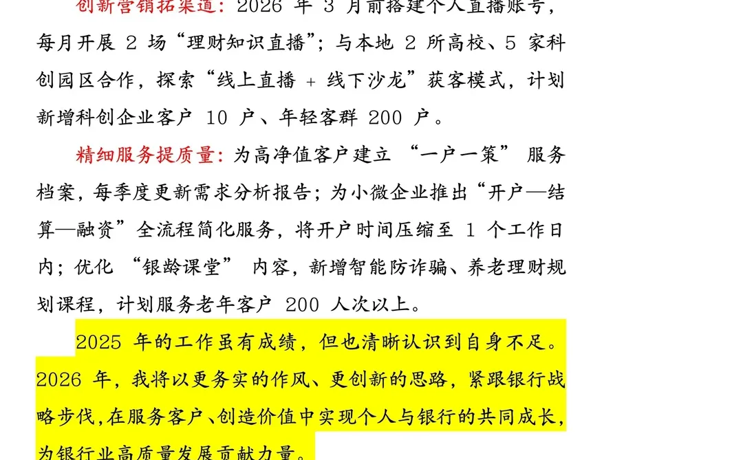 2025 年银行个人工作总结