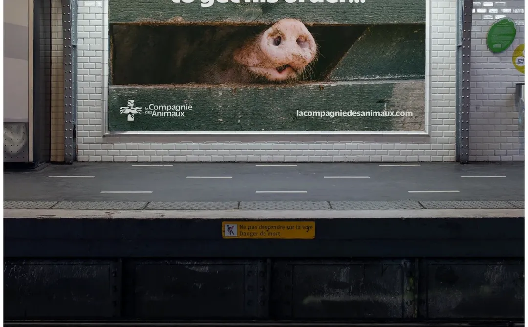 ?铲屎官救星！这家国外宠物医疗品牌绝了