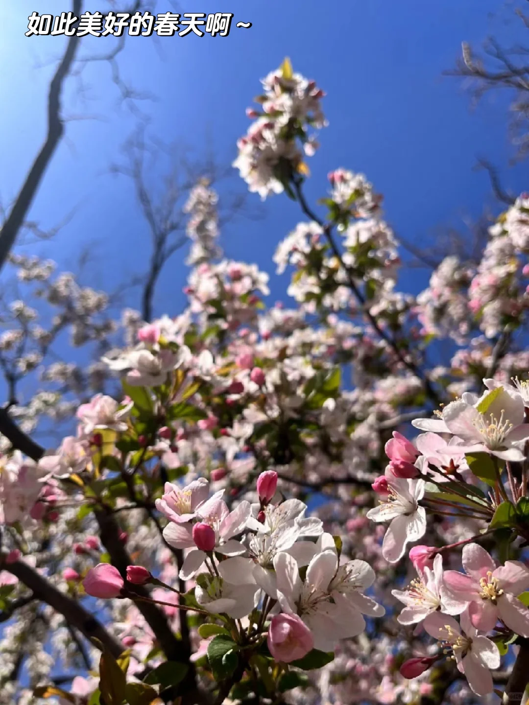 X银行公司部一季度工作总结，直接抄即可!