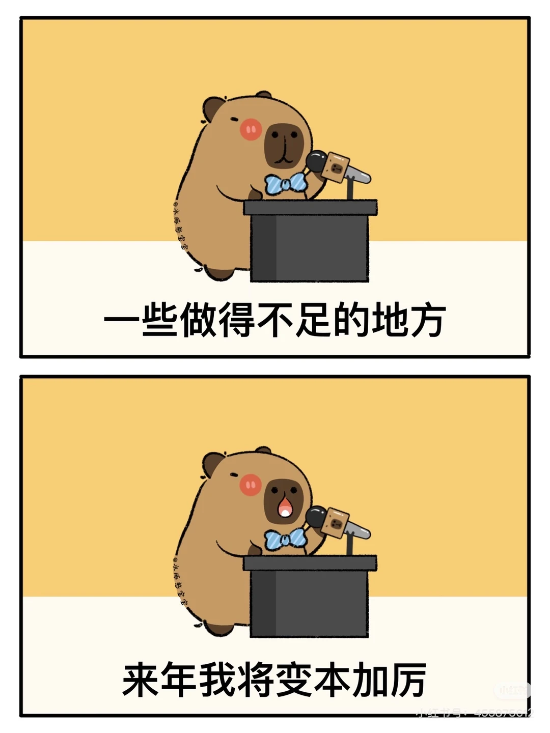 付费寻找保险服务