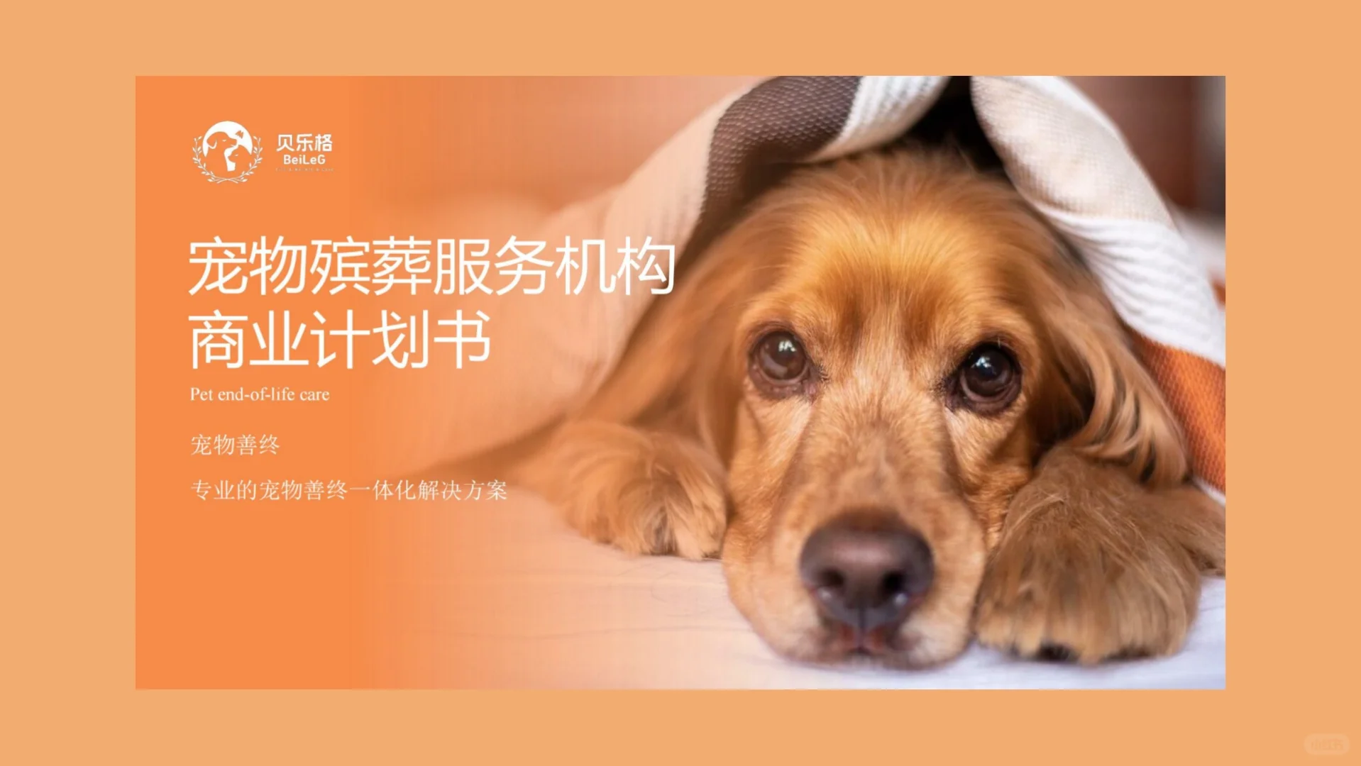 一个宠物行业创业项目计划书～