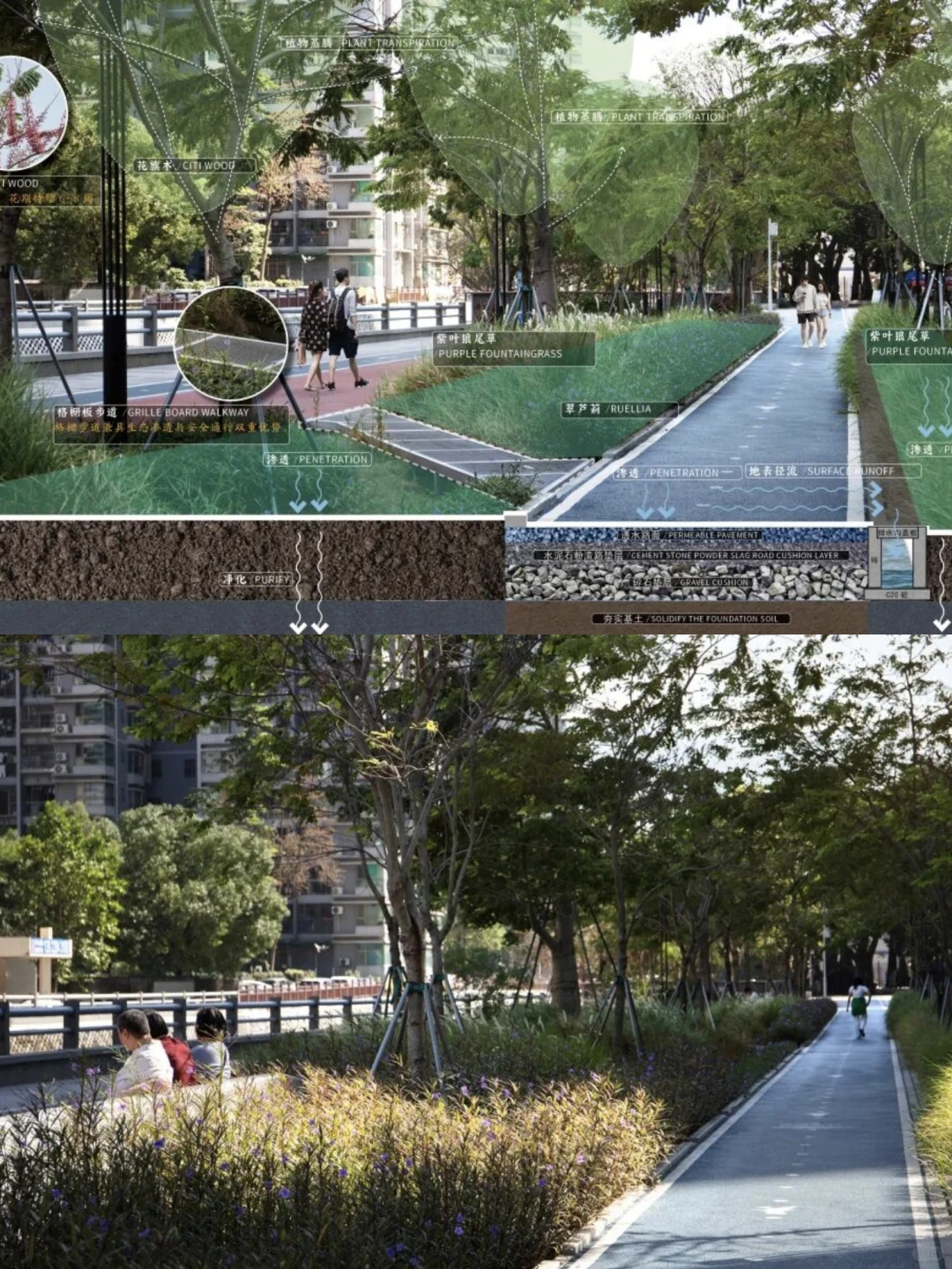 实践!治愈城市伤痕:百年上寮河的韧性回归