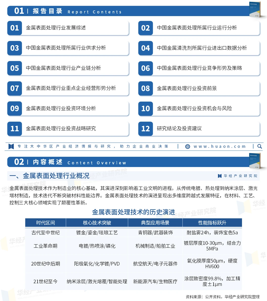 2025年中国金属表面处理行业投资咨询报告