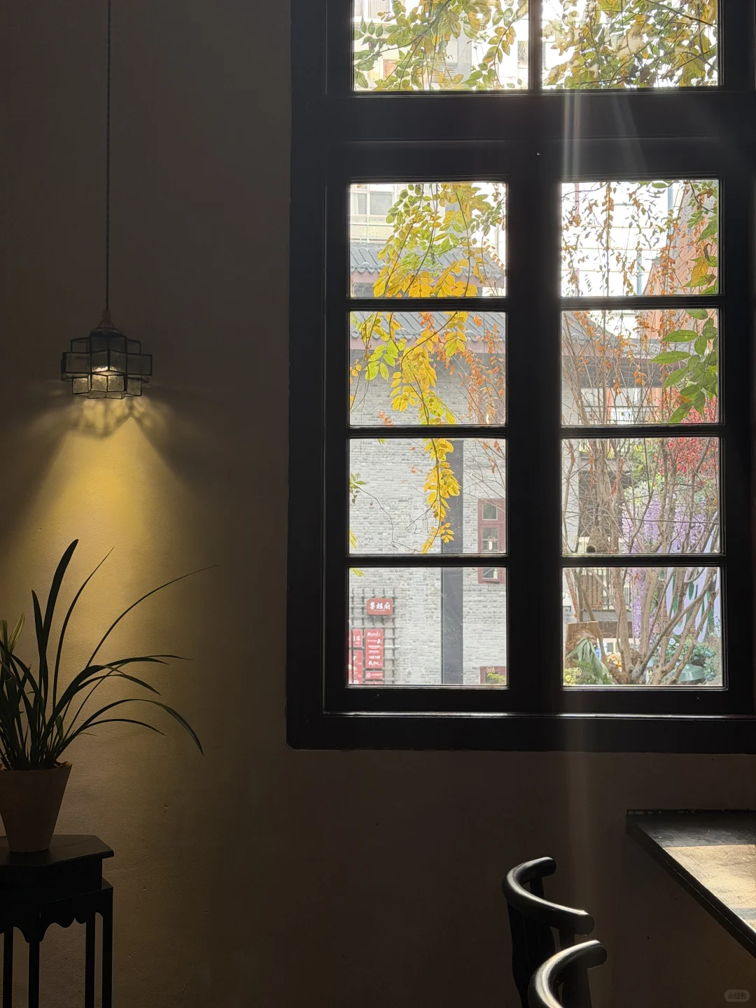 藏在鲁祖庙的“时空胶囊”：一杯精酿，一桌江湖