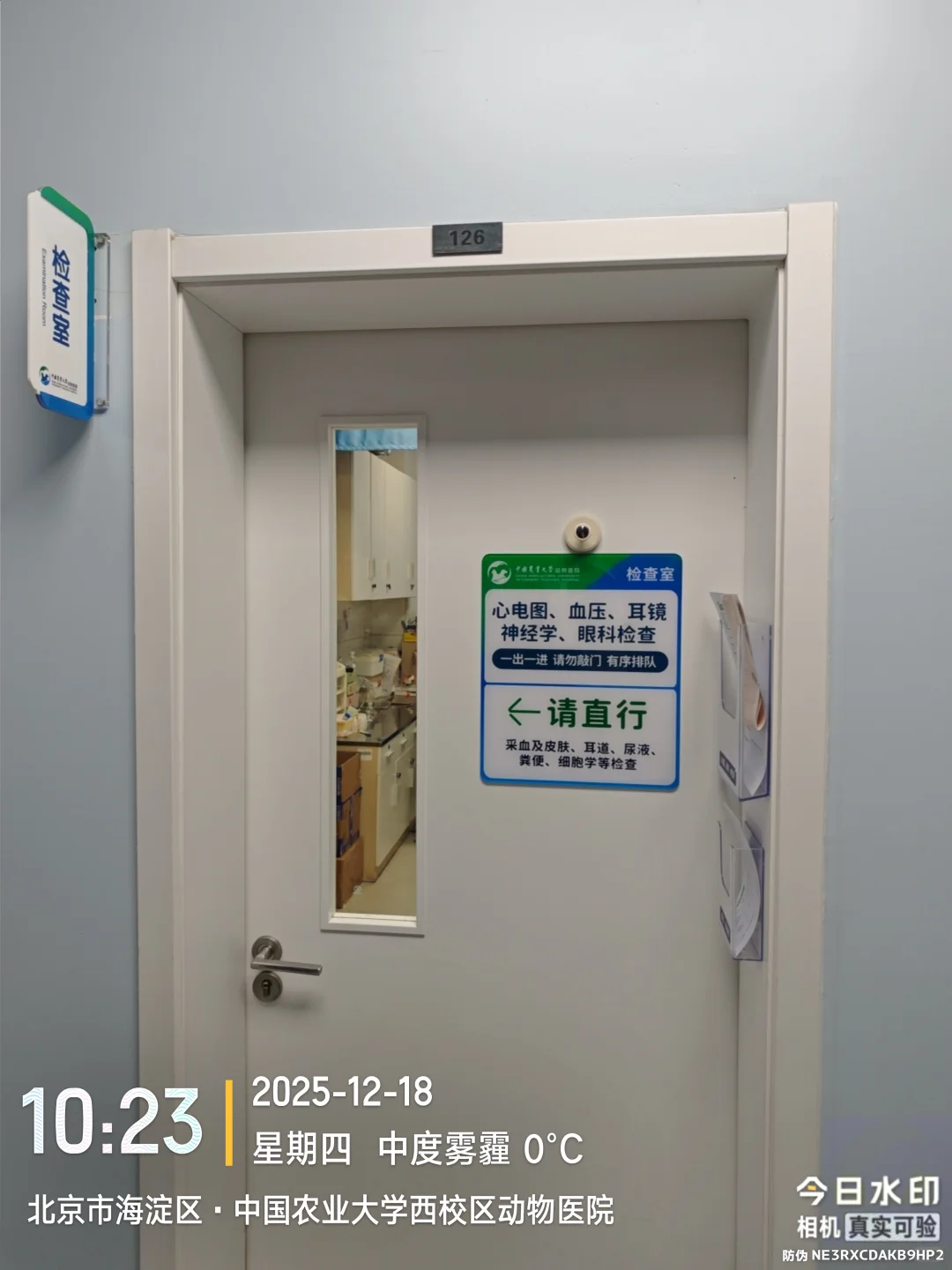 中国农业大学动物医院陪诊、代问诊、代办！