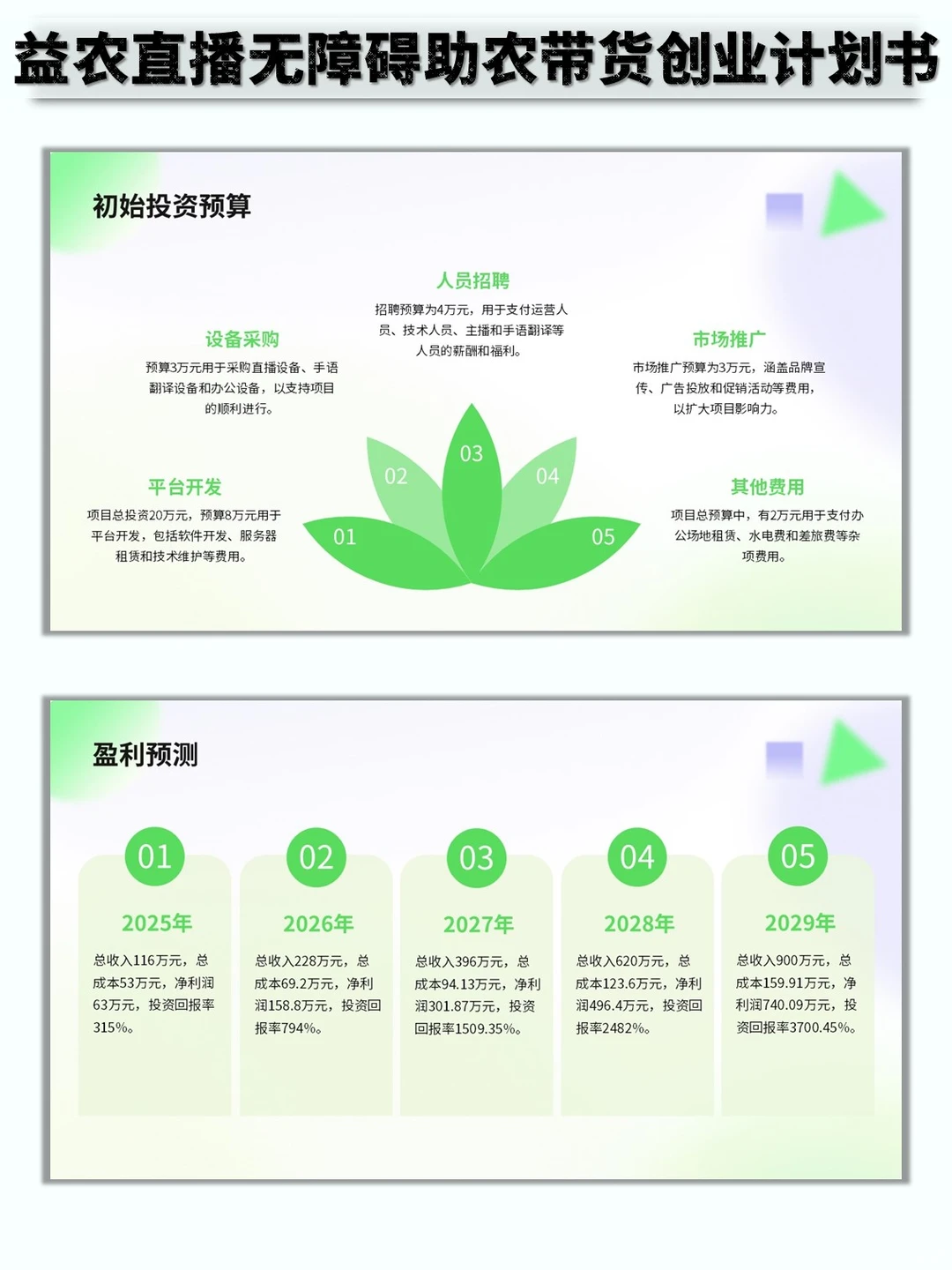 益农直播无障碍助农带货创业计划书word➕PP