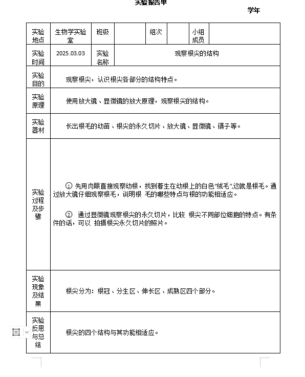 观察根尖的结构实验报告