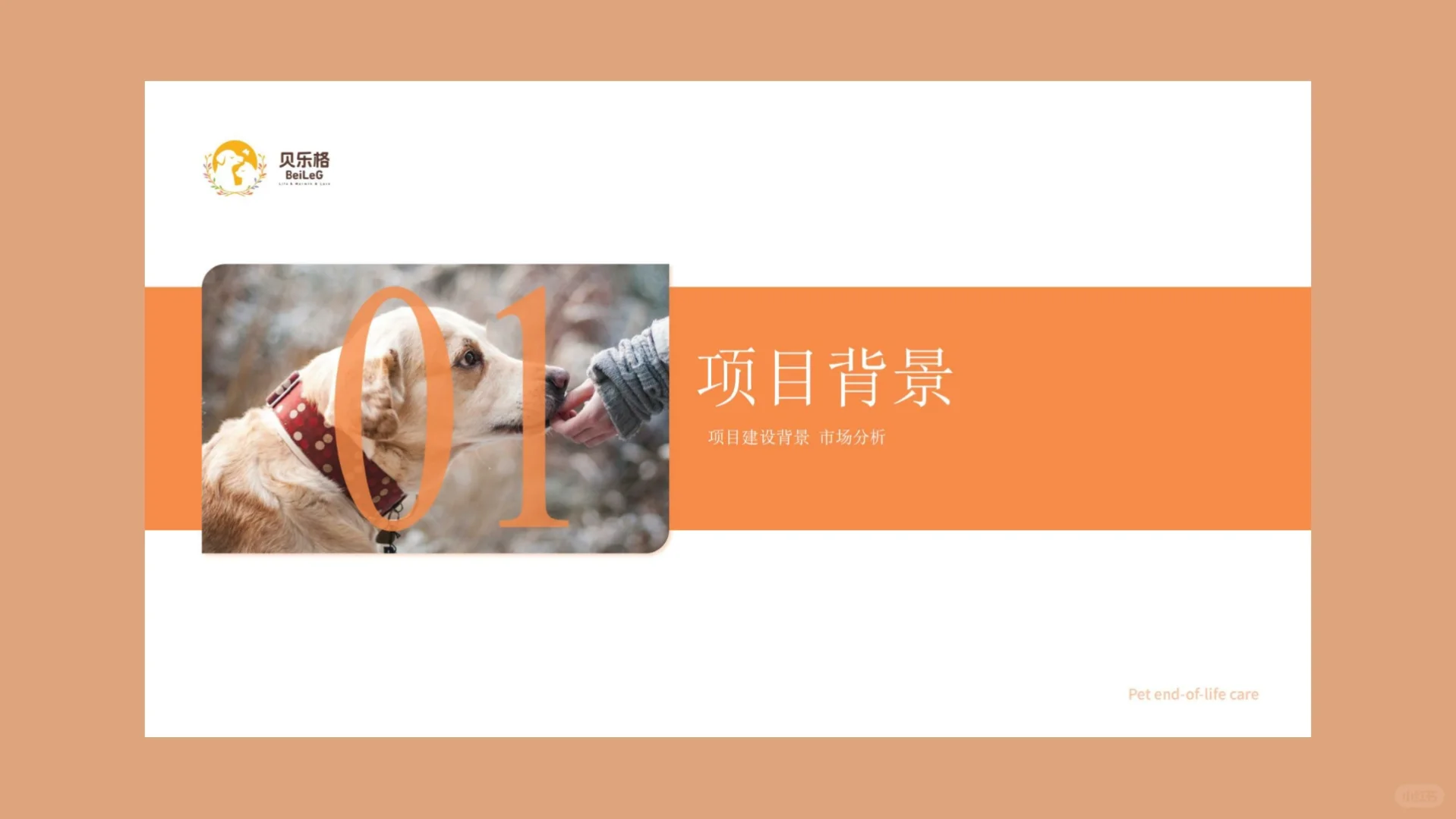 一个宠物行业创业项目计划书～