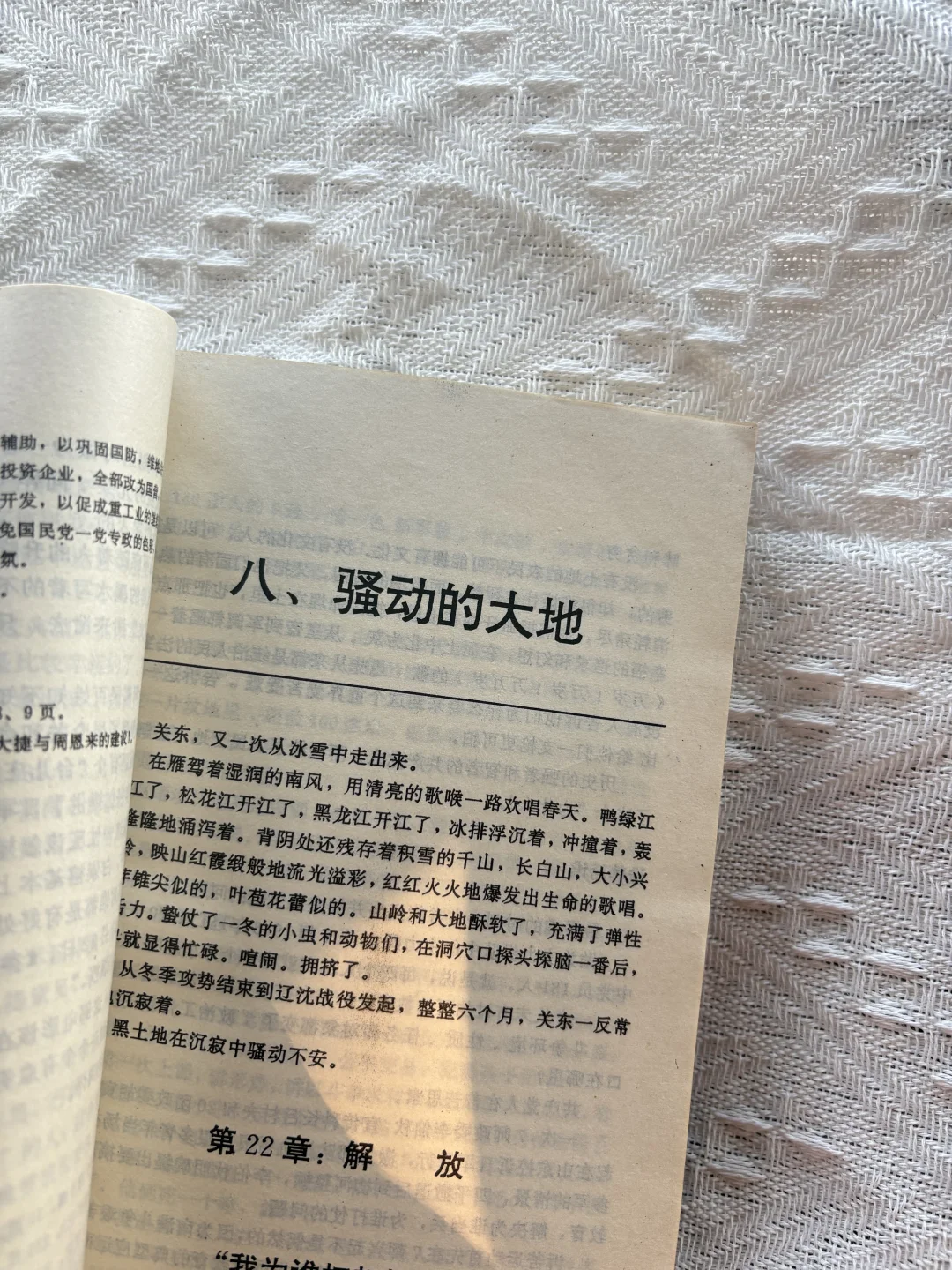 ?《雪白血红》上下册（不是同一版本）