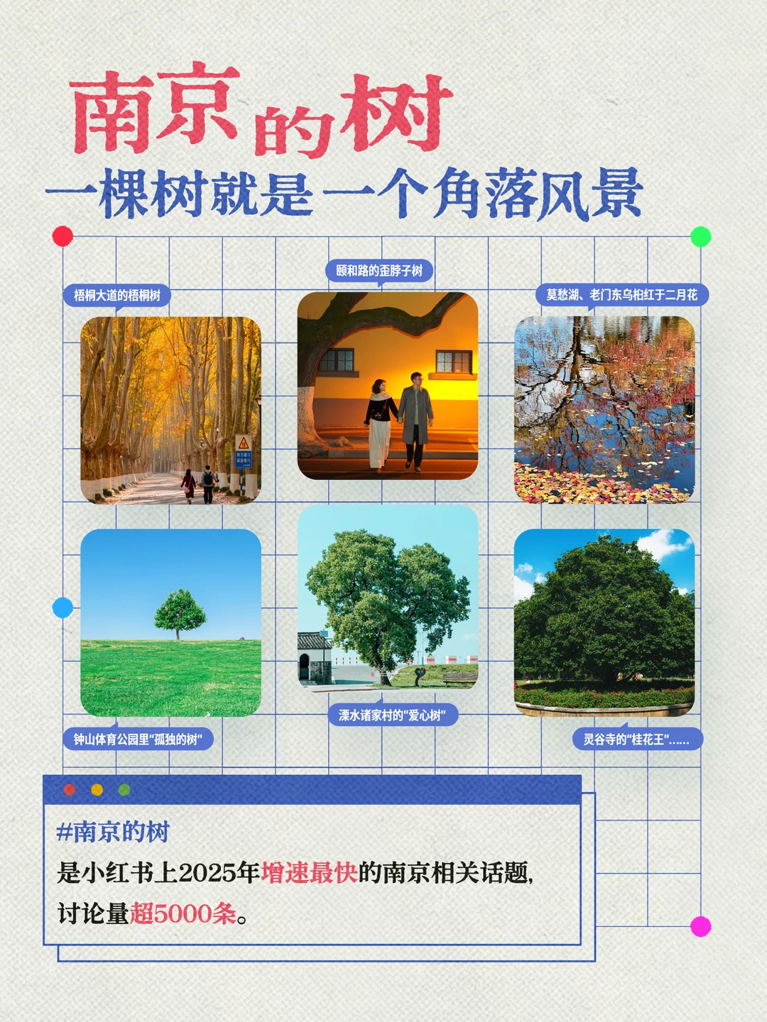 扬子晚报联合小红书发布南京观察报告