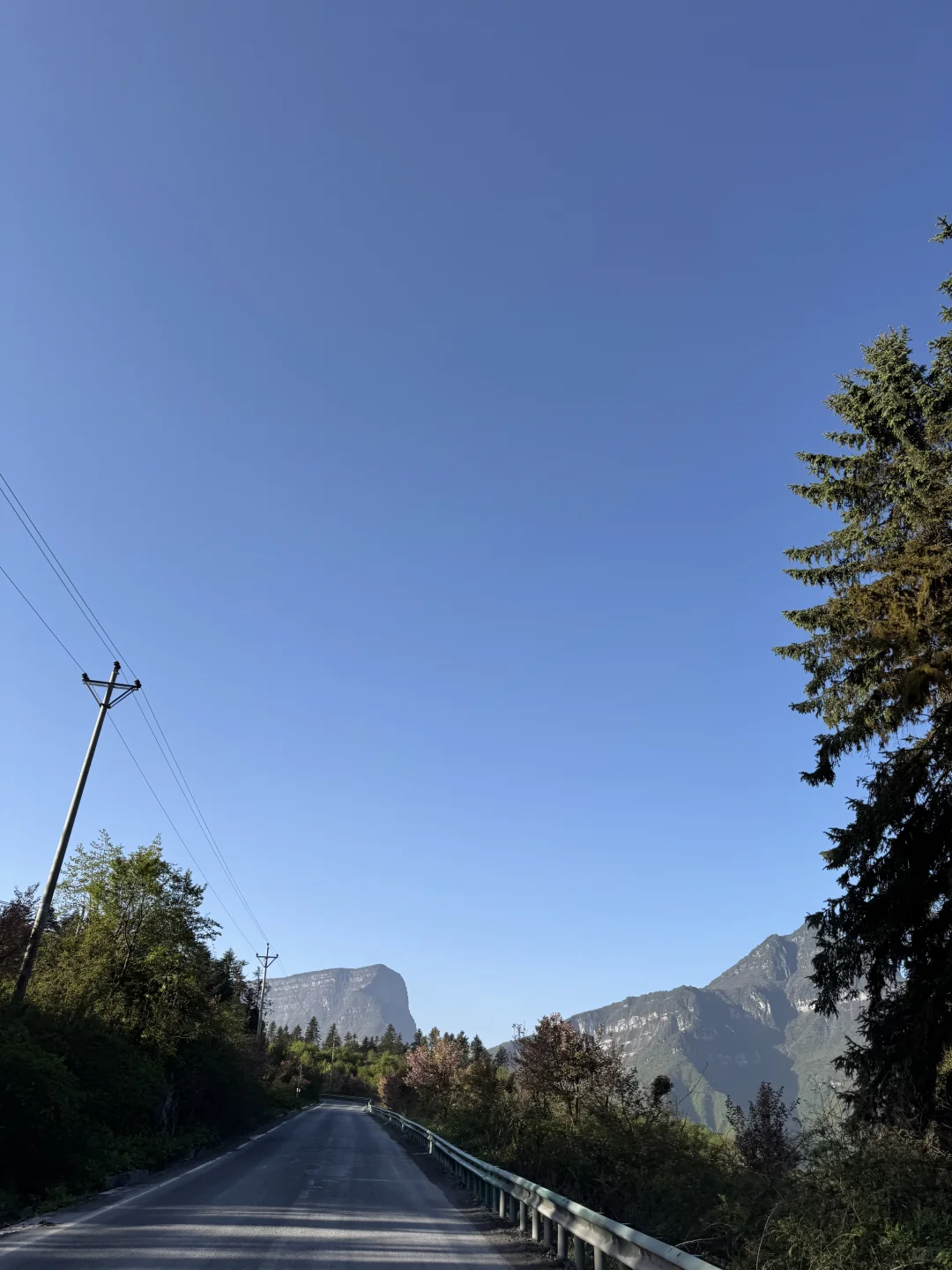 报了个数据分析课