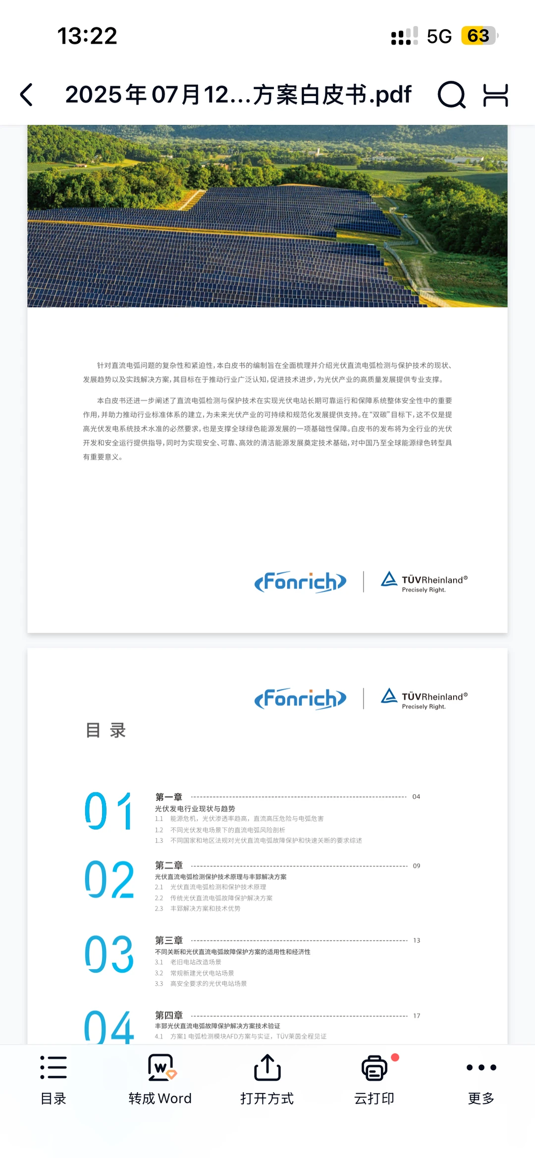 2025年光伏系统电弧保护解决方案白皮书