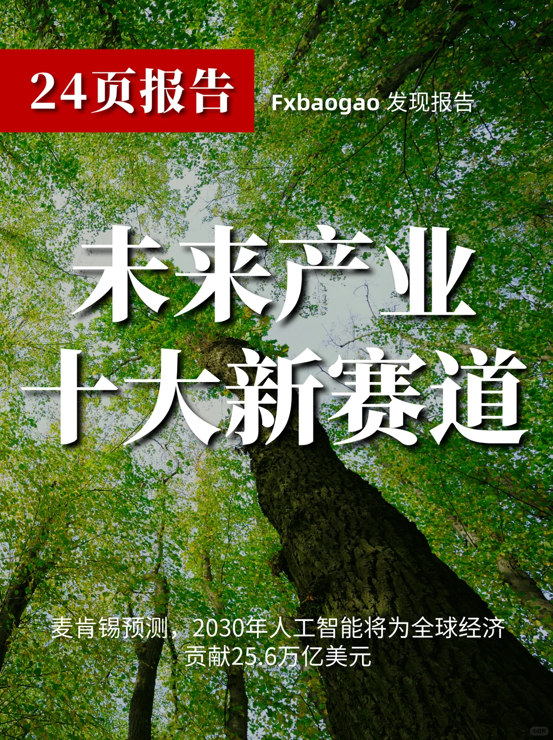 2025十大爆火赛道，普通人逆袭风口来了