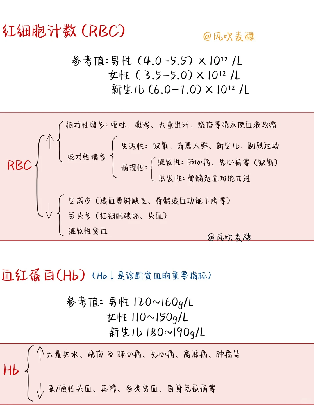 ?医学生笔记| 血常规报告