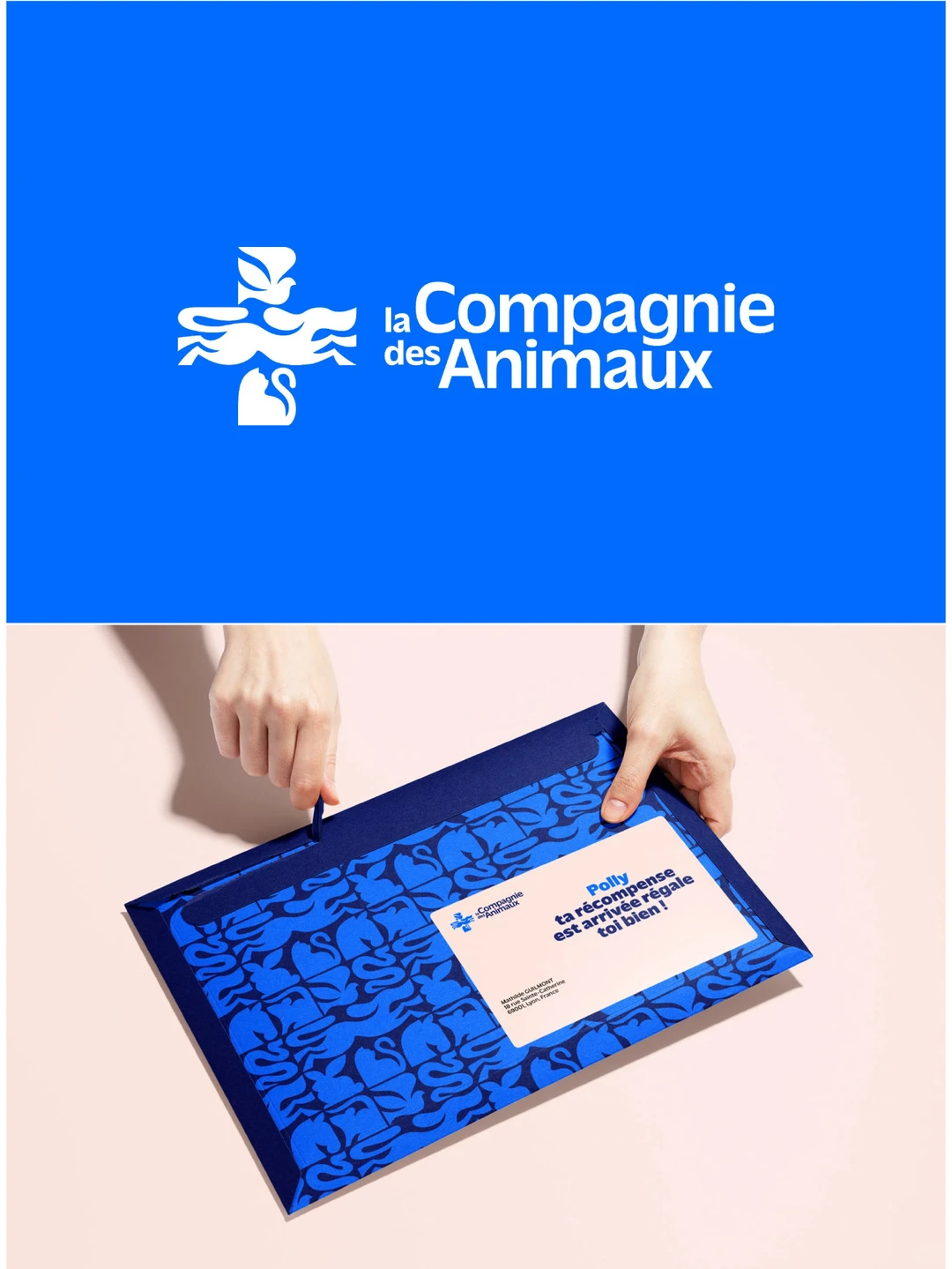 ?铲屎官救星！这家国外宠物医疗品牌绝了