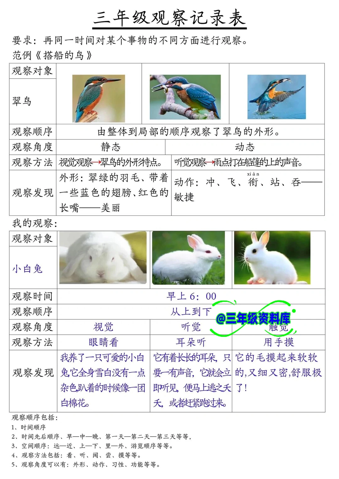 三上语文第五单元观察记录表来啦??