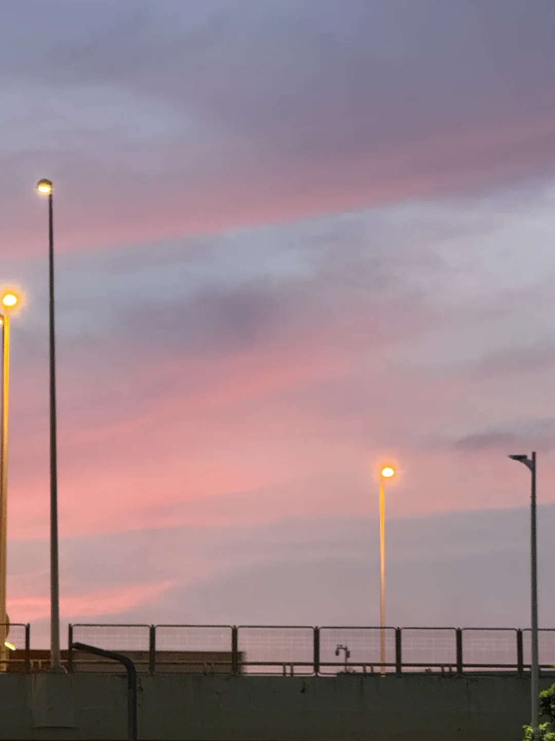 在知识付费公司发光：获客文化治愈我的职场