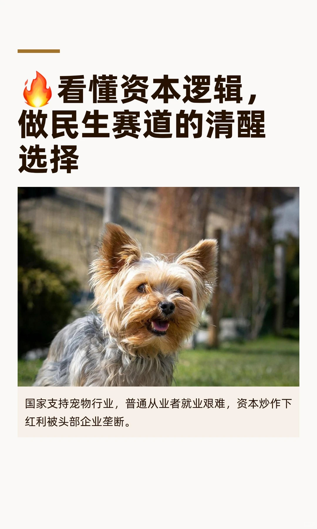 ?看懂资本逻辑，做民生赛道的清醒选择