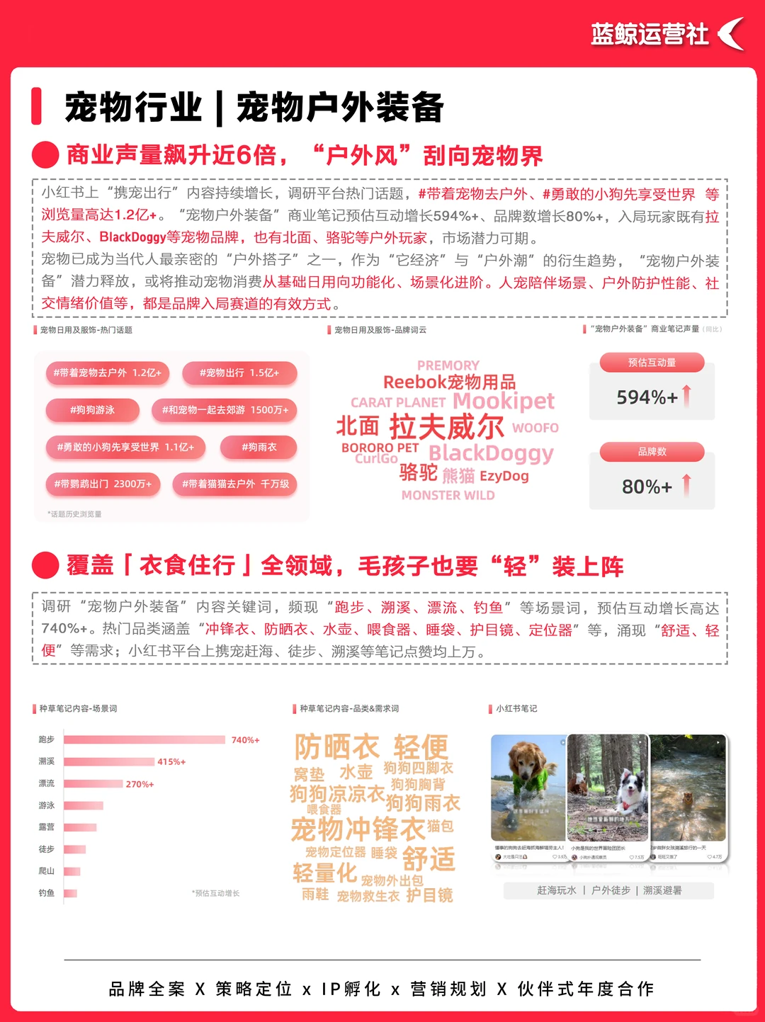 营销热点｜2025四大新兴品类营销速览