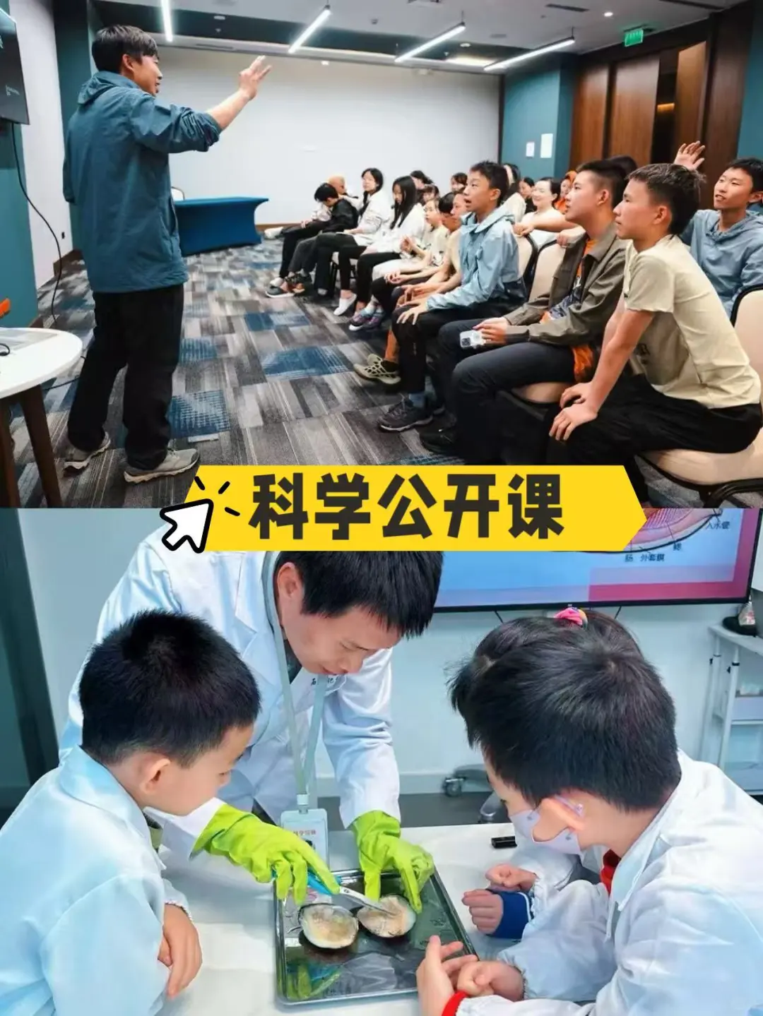 北京遛娃｜昆虫迷市集这不就来了！