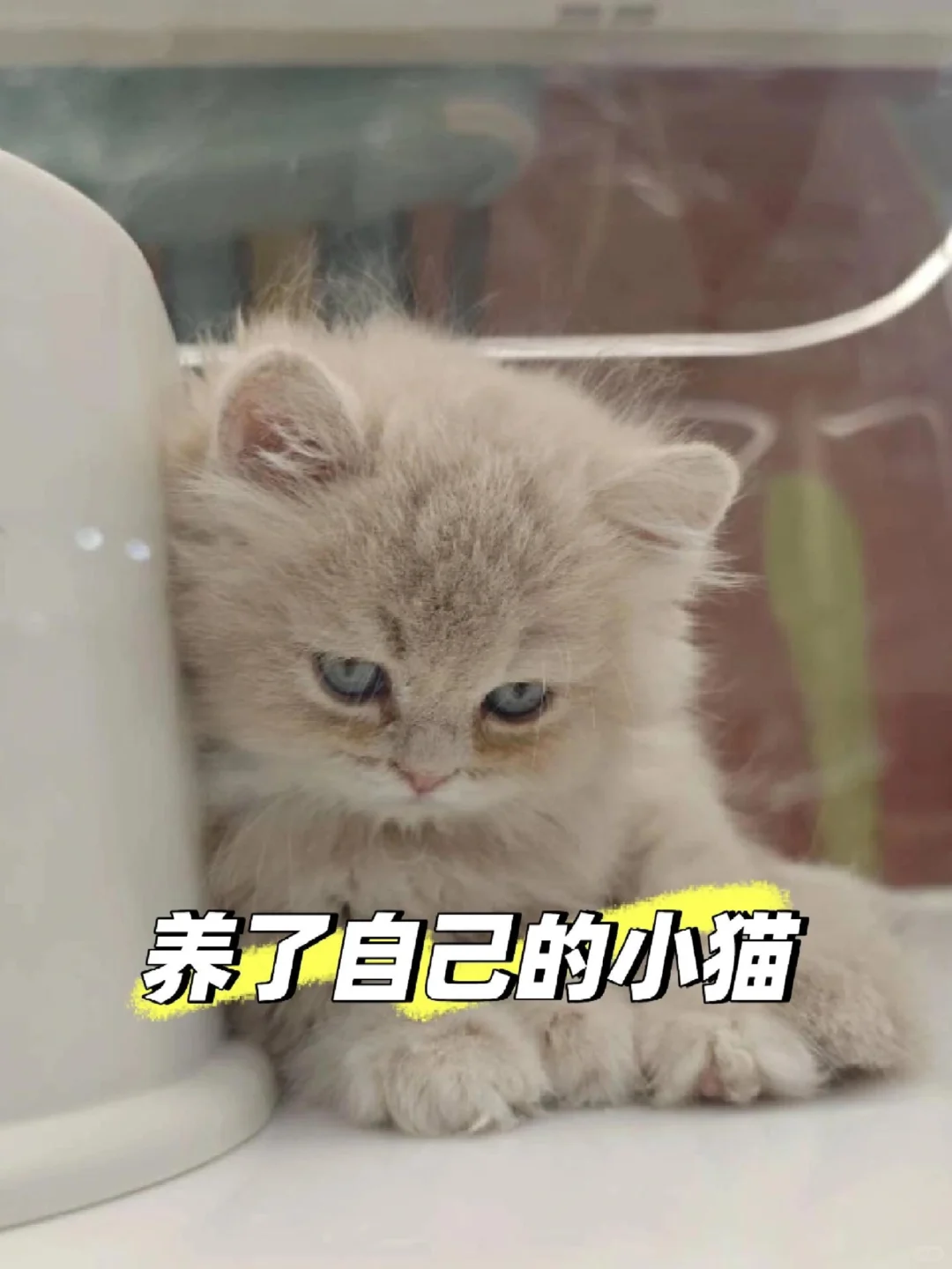 文员拜拜啦！成功逆袭32000➕上五休二