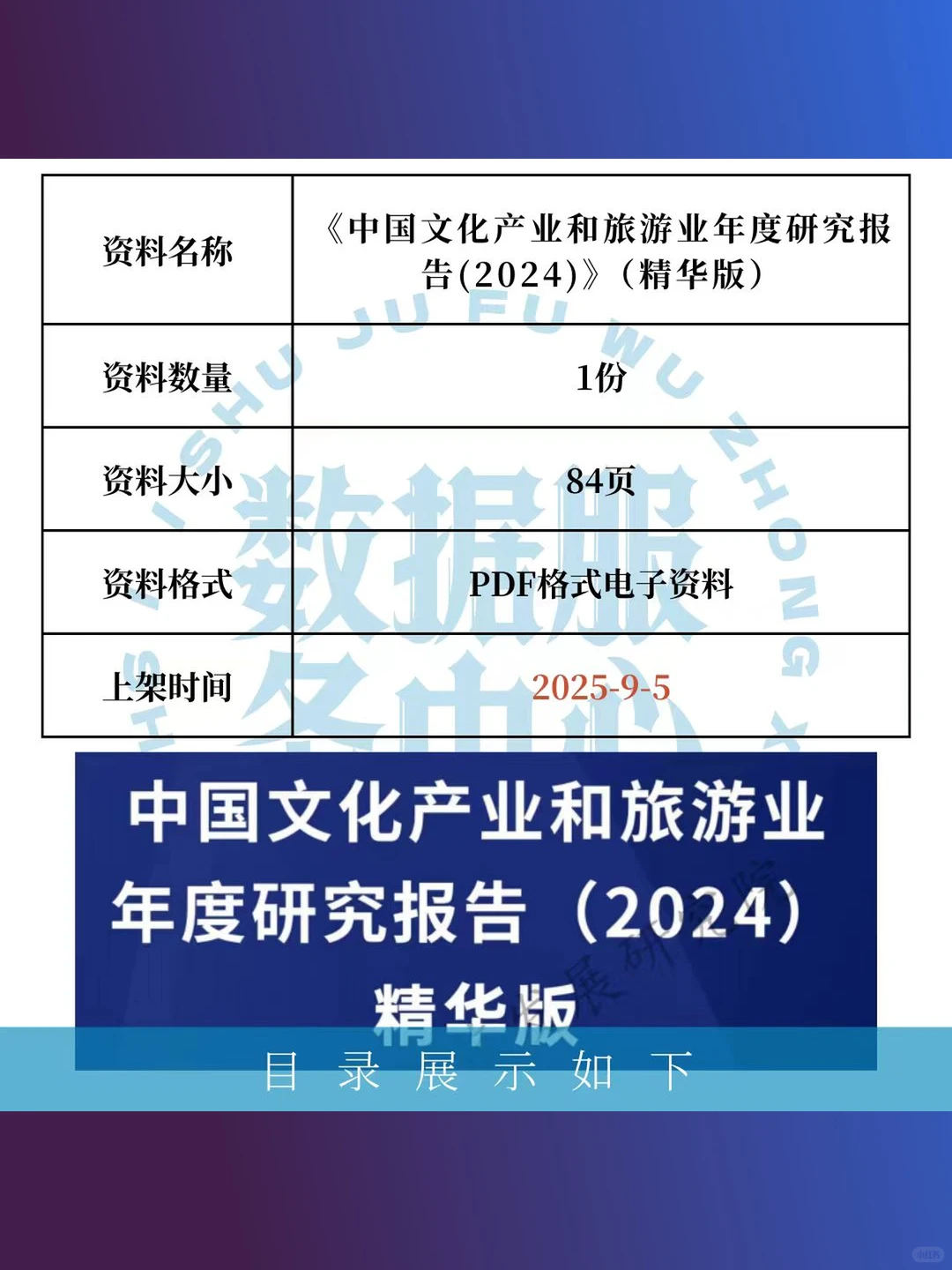 中国文化产业旅游业年度研究报告2024精