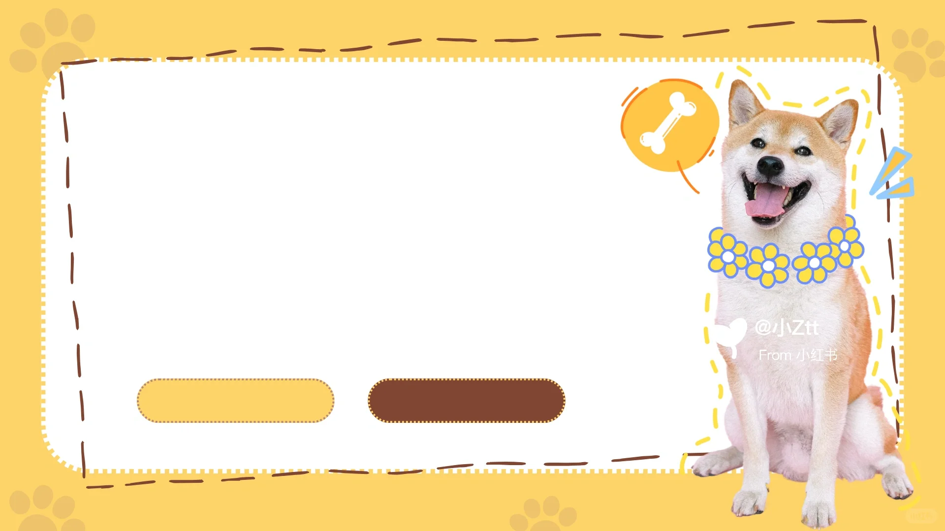 PPT背景图｜宠物来袭｜可爱｜宠物行业报告｜