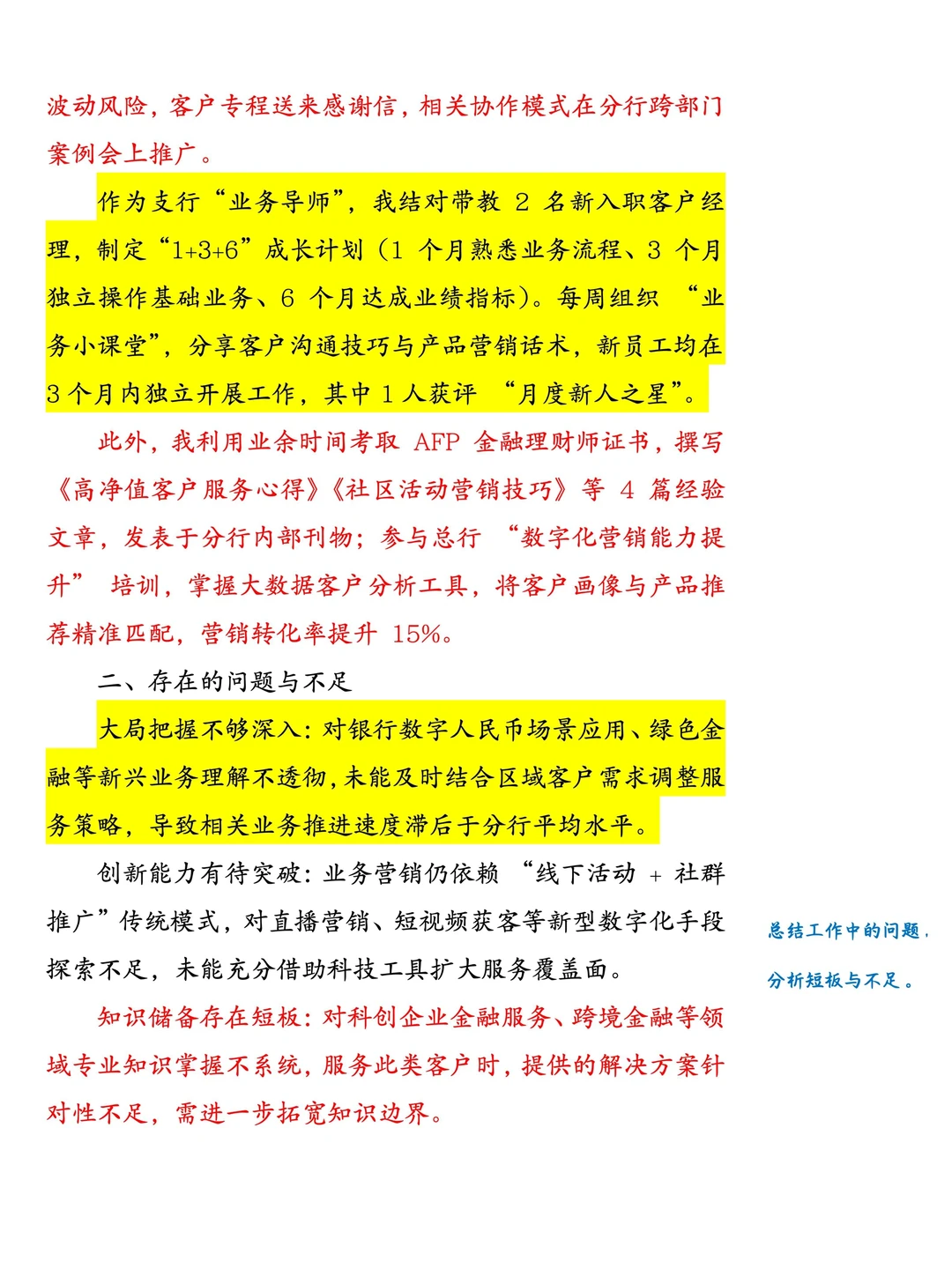 2025 年银行个人工作总结