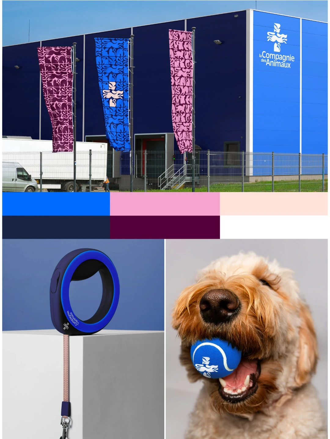 ?铲屎官救星！这家国外宠物医疗品牌绝了