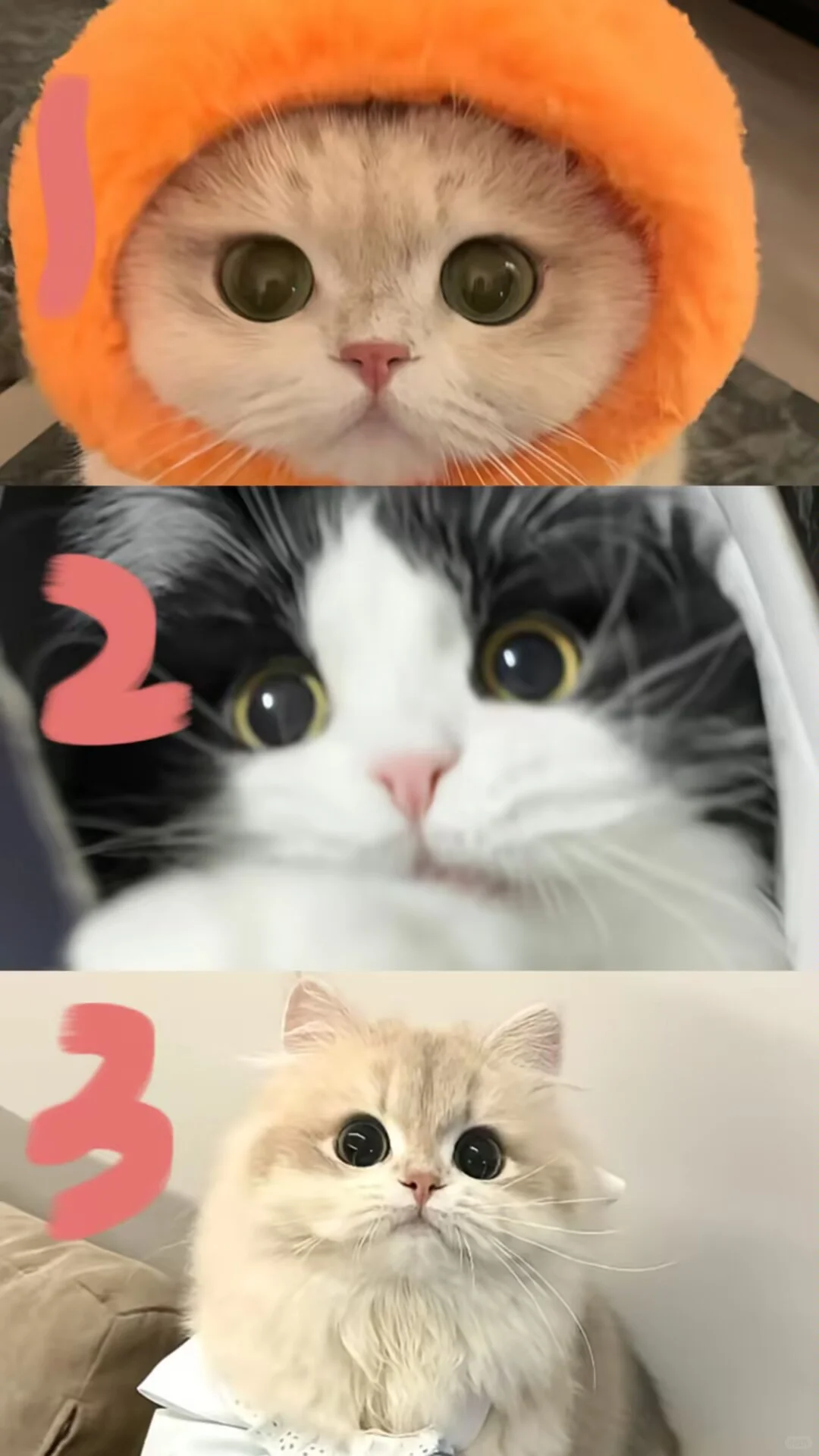 你目前工作的发展状况是怎么样的？