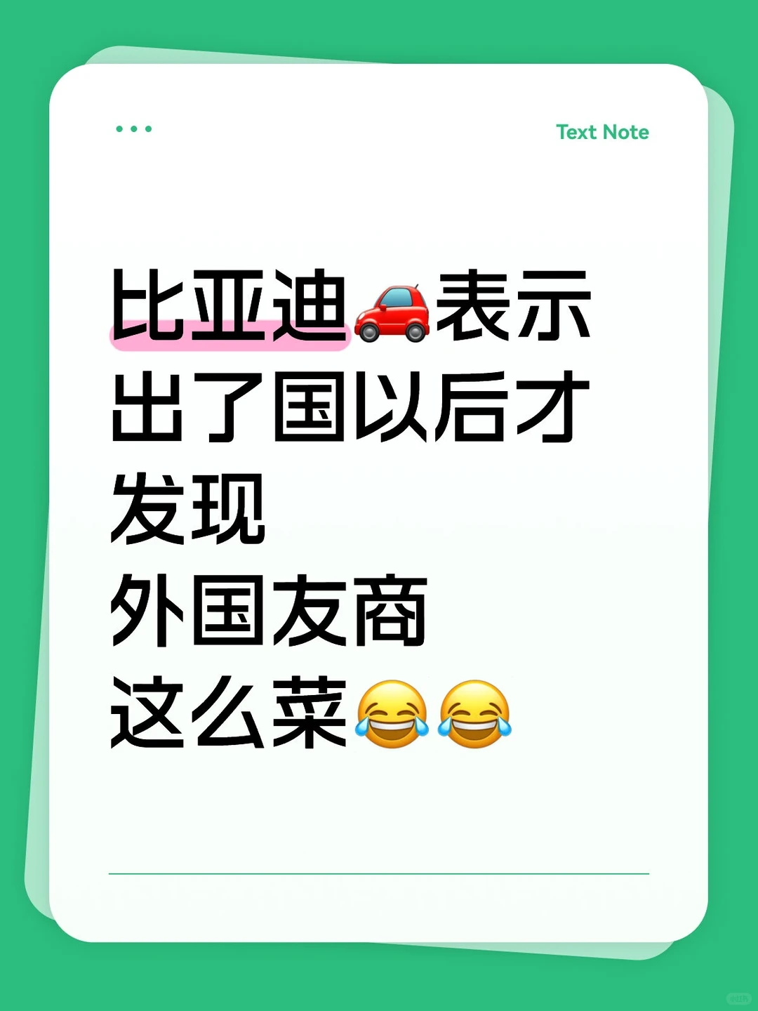 中国比亚迪爱答不理，德国比亚迪你高攀不起