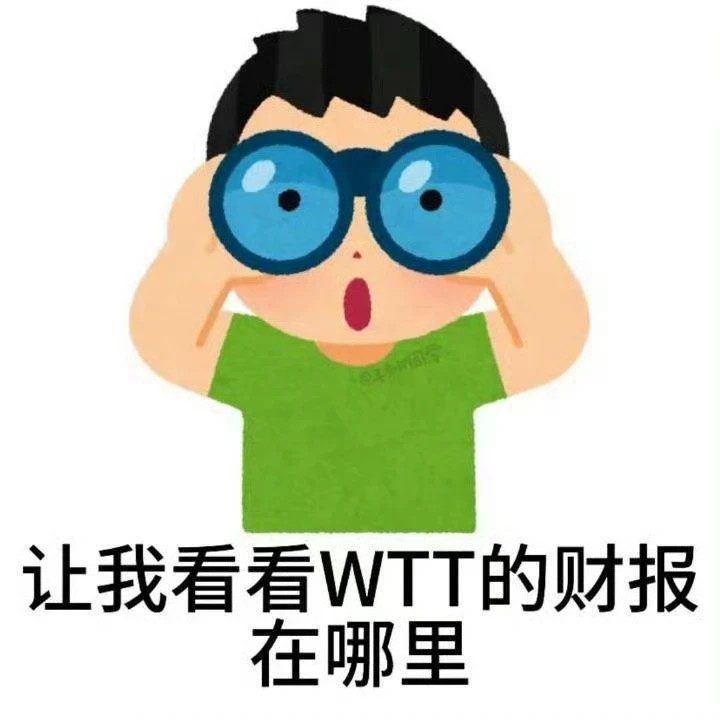 2024年WTT财报公布了没？