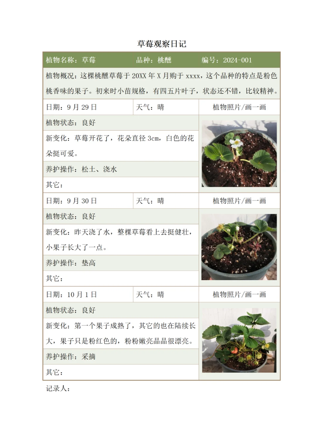 听说国庆全国的娃都在种豆子！附观察记录表