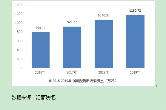 香菇行业市场研究与发展前景预测报告