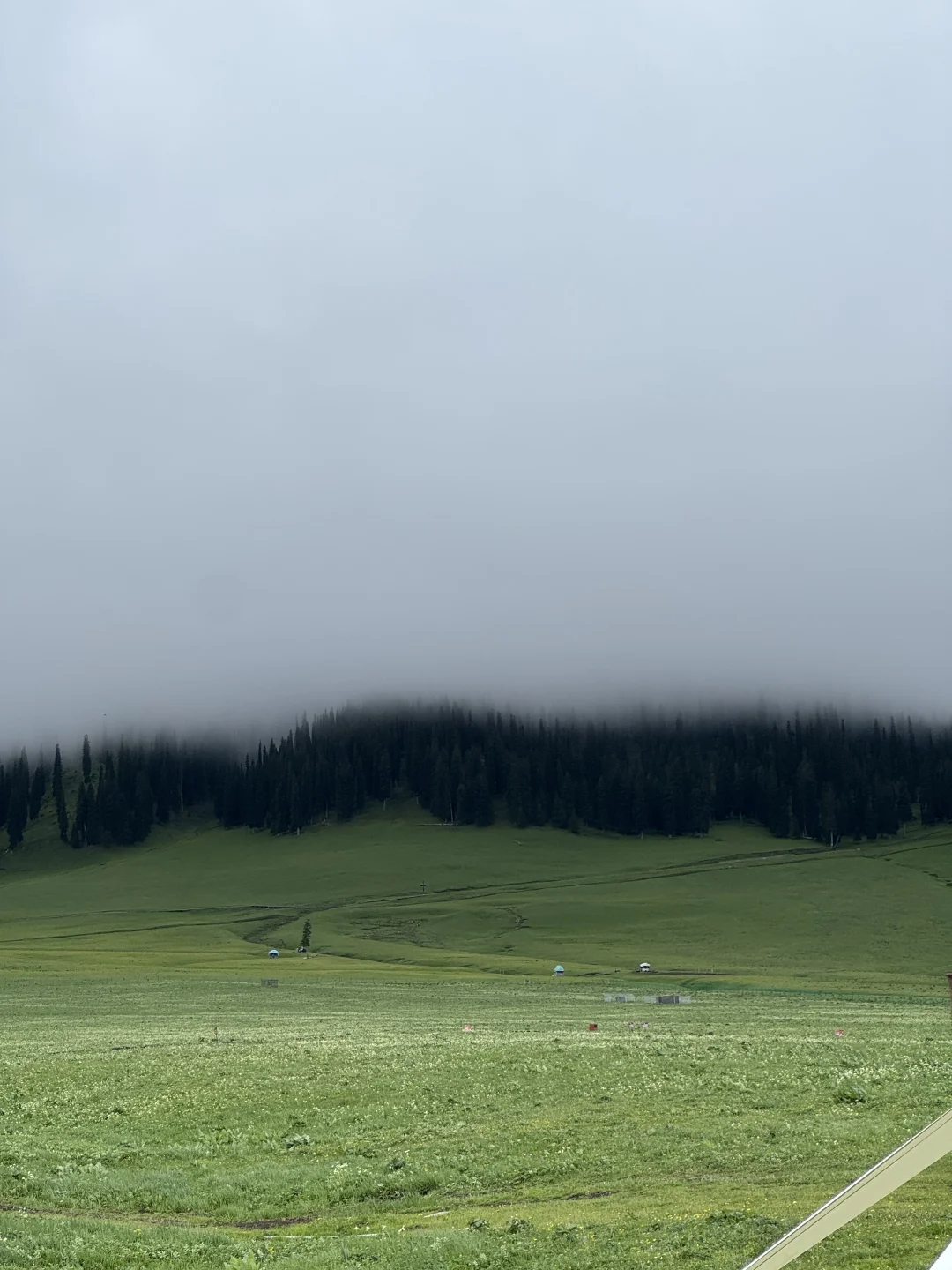 国内大宗商品贸易商分类及校招入行门槛