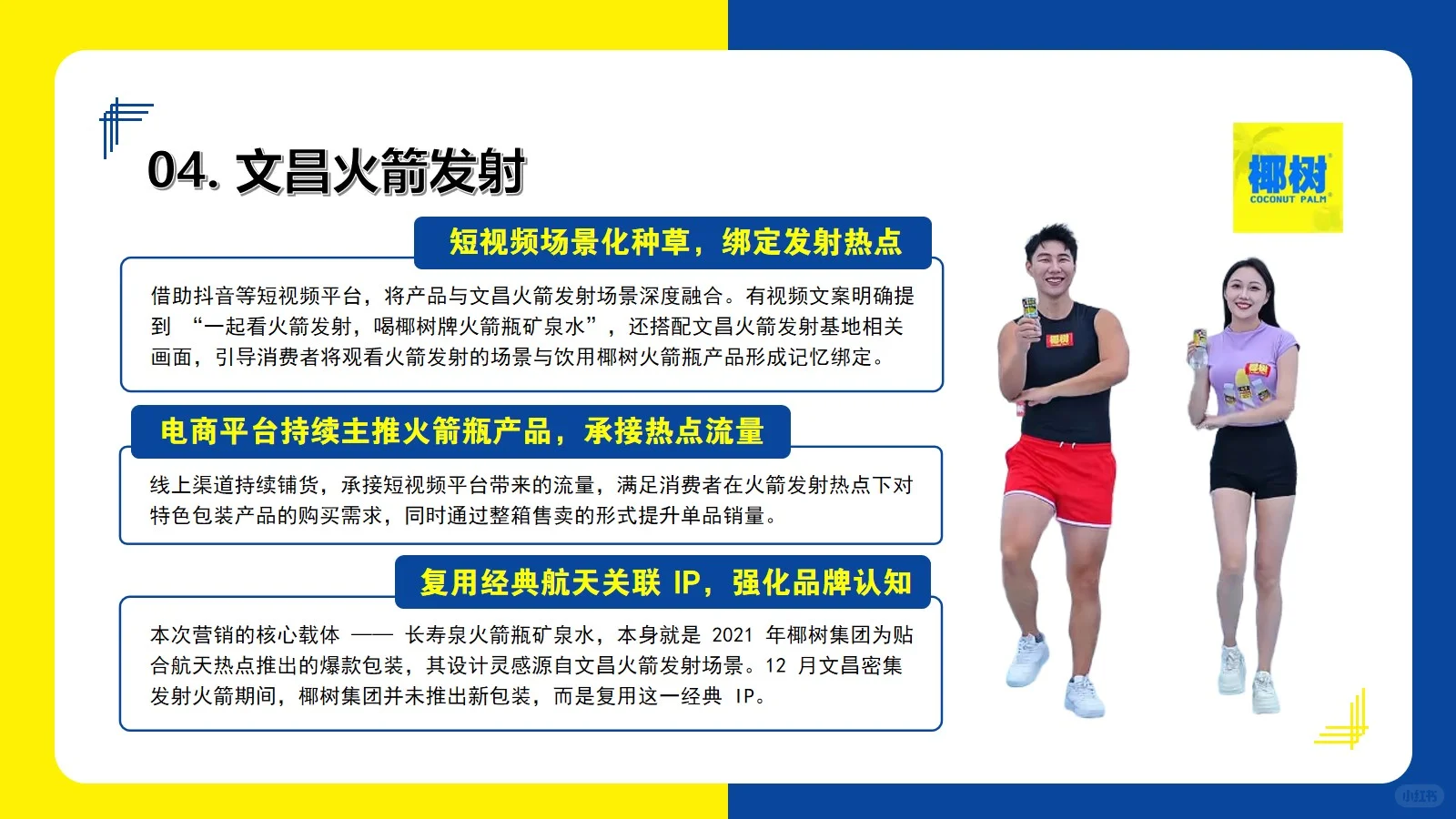 椰树集团营销分析20页