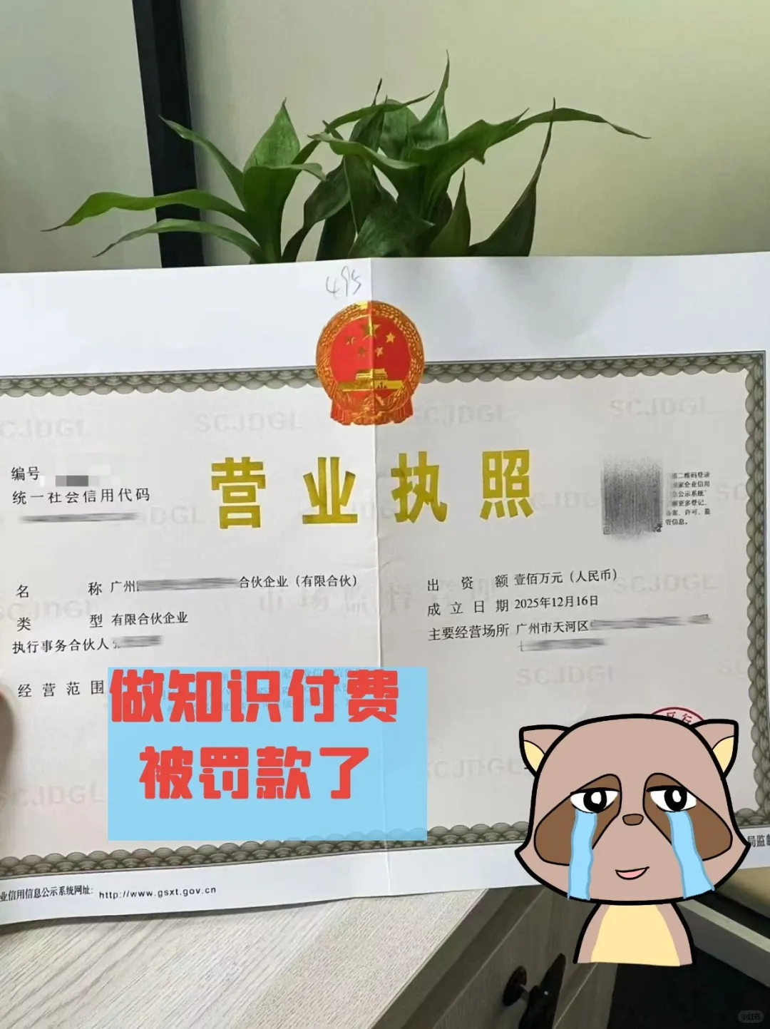 想在网上卖课，做知识付费，被罚了。