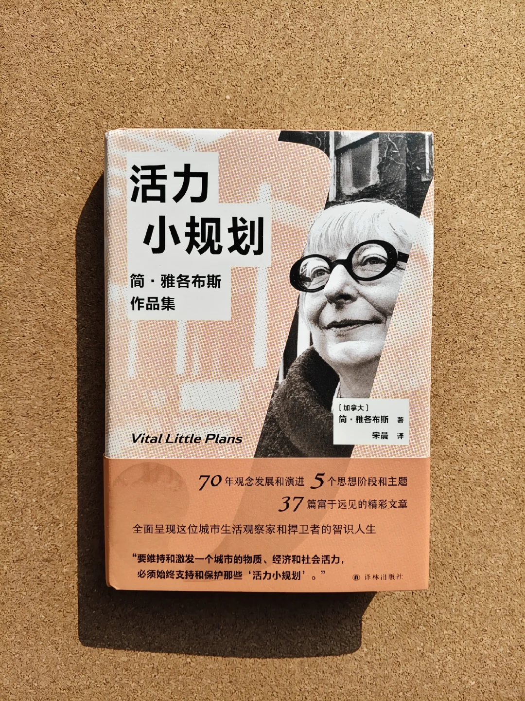 从一本容易读的书进入到对城市的思考