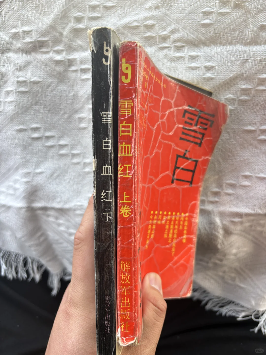 ?《雪白血红》上下册（不是同一版本）