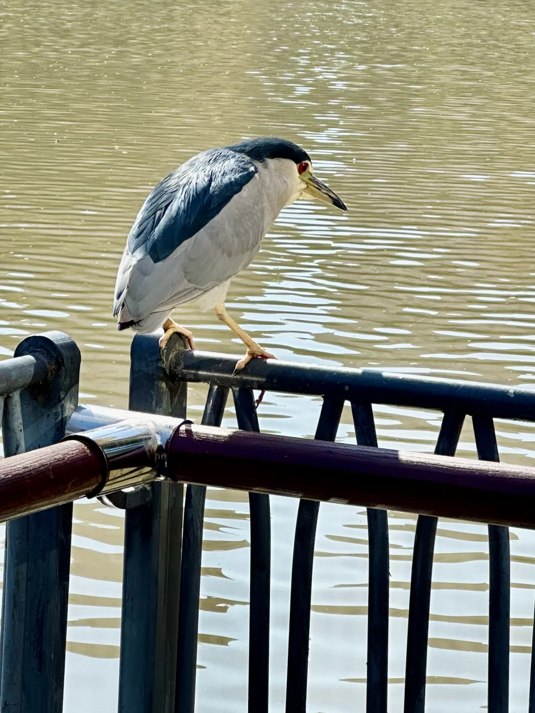 二级行研必读的人物传记