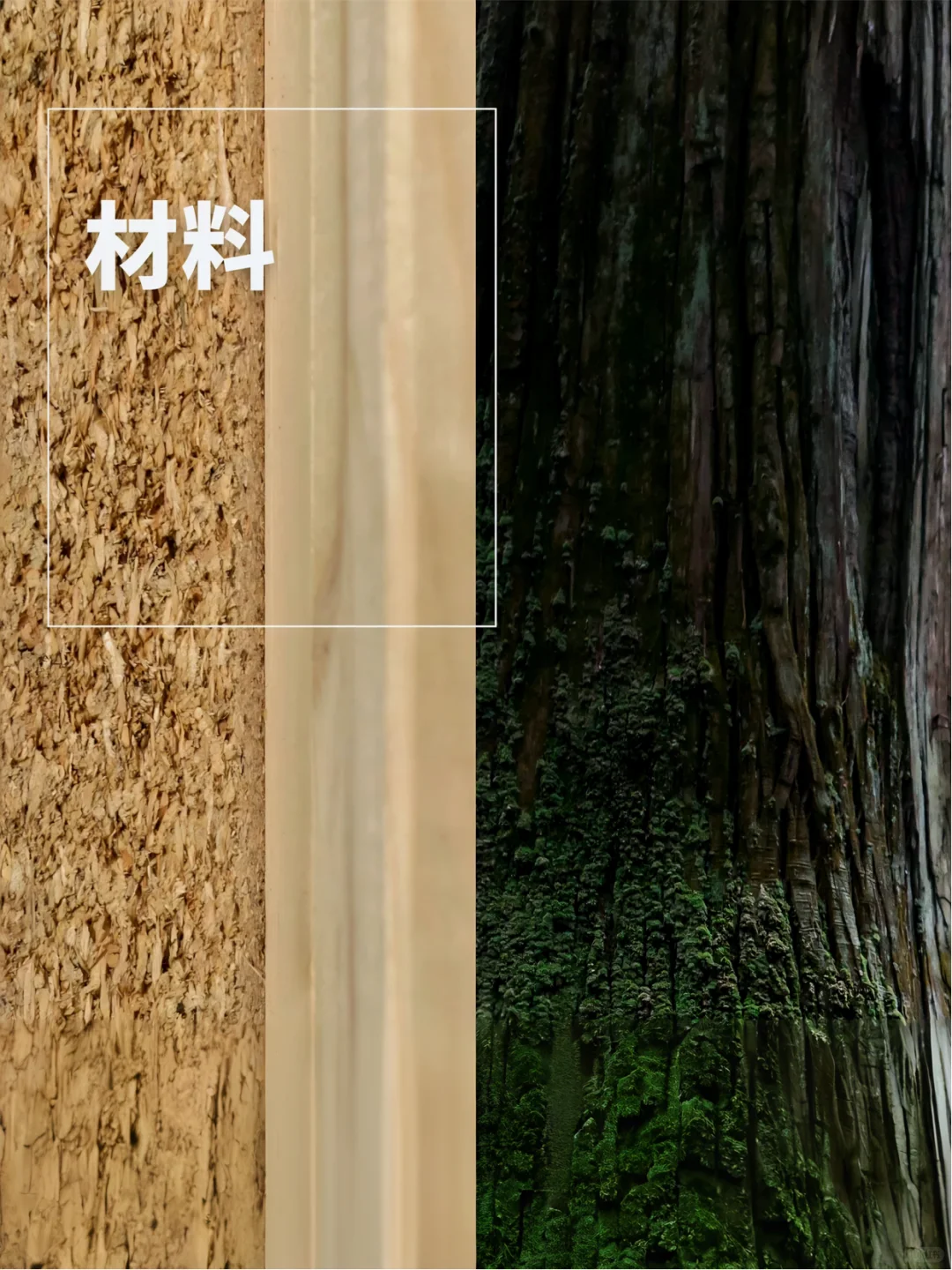 一份来自飞德莱的「2024年可持续发展」报告